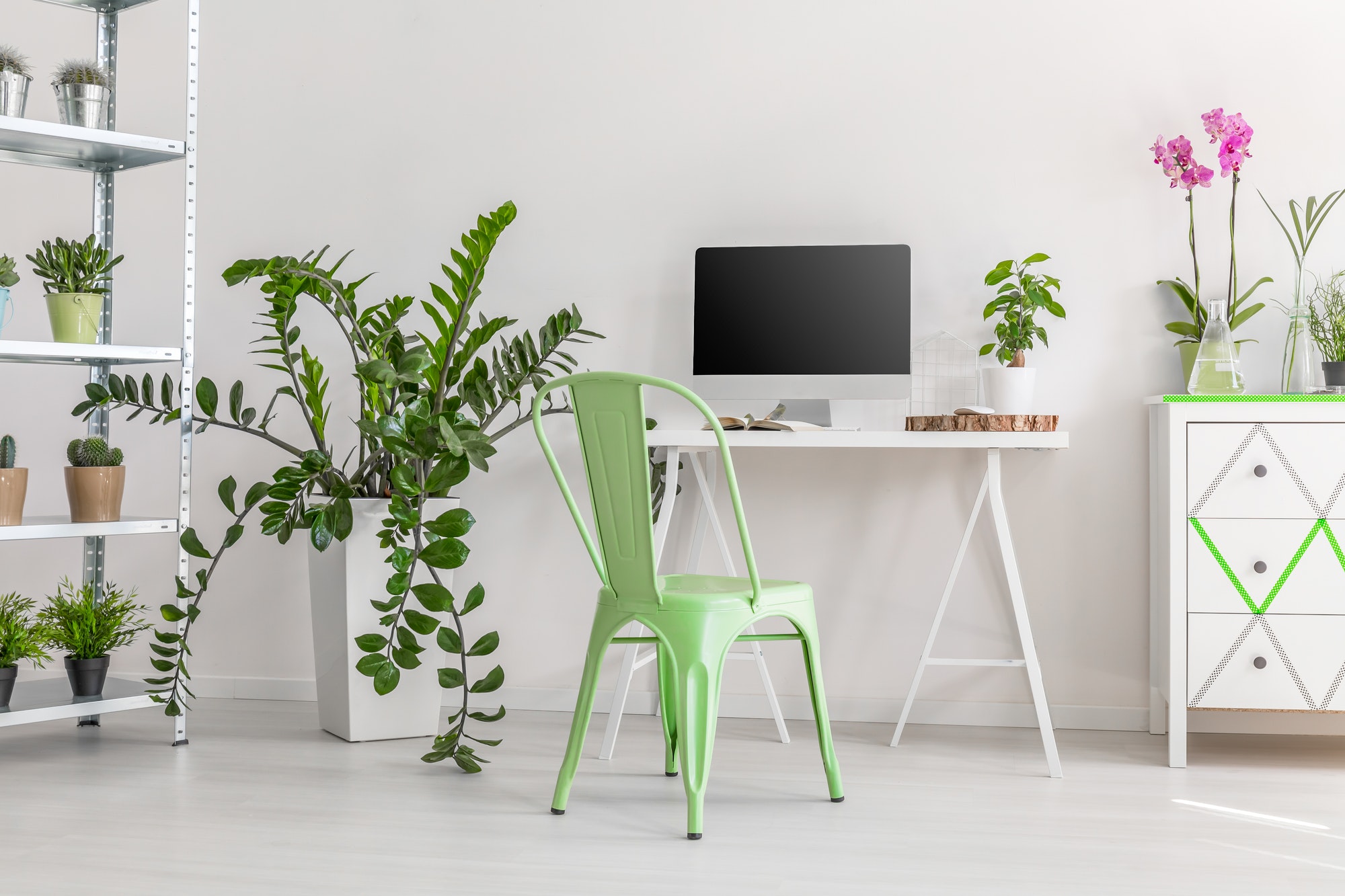 Minimalist workplace surrounded by plants
